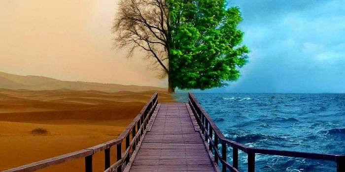 Тест: Ответьте на вопросы, а мы одной фразой опишем историю вашей жизни