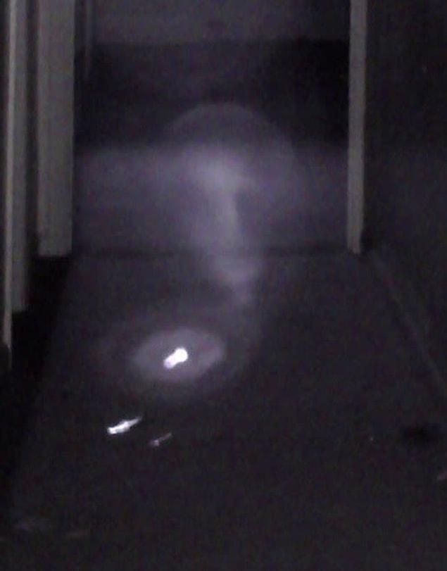 11. "This was taken in a hallway of the decommissioned St. Albans Sanatorium in Radford, Virginia. The floating pin lights slowly came out of the wall on one side and floated through the wall on the other side. The weird thing they were dragging along with them was only visible in the picture I took."