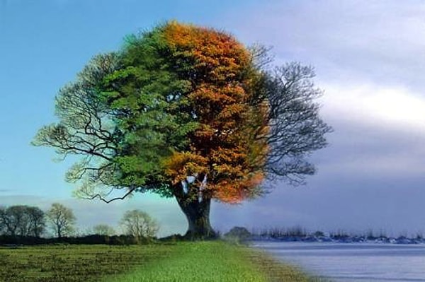 2. Ваше любимое время года?