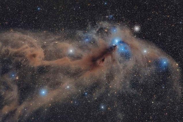 7. Stars and Nebulae - Mario Cogo (Italy) with Corona Australis Dust Complex