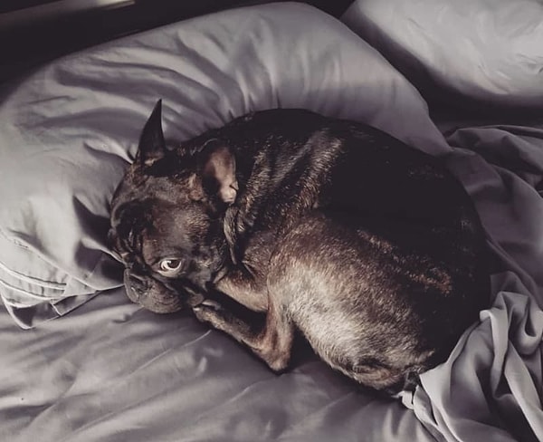 9. Нарушить "домашние правила"