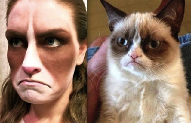 10. Grumpy cat