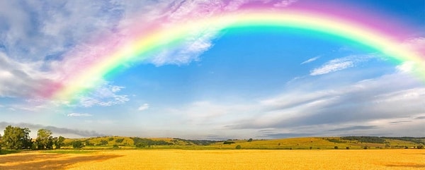 1. Какой из этих цветов, по вашему мнению, отличается от остальных?