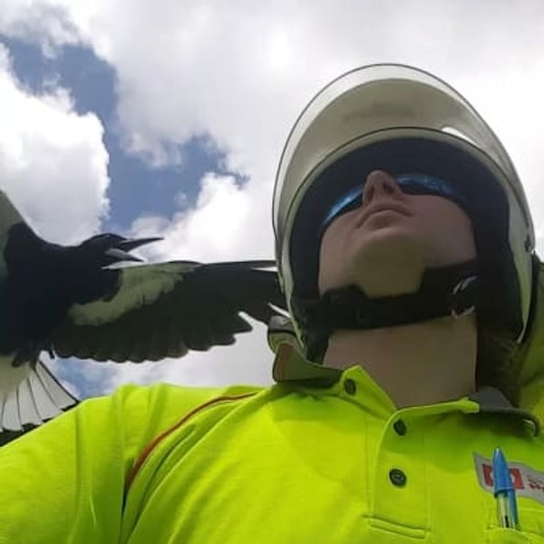 Но делать это нужно на свой страх и риск