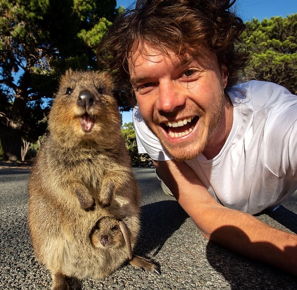 4. Лучшая вещь - это возможность сблизиться с необычными животными...