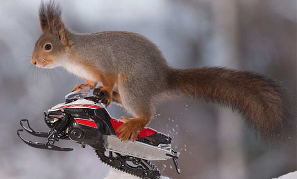 Посмотреть правильный ответ 👇