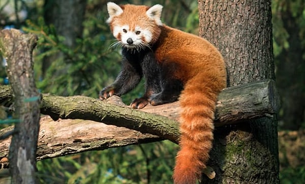 Посмотреть правильный ответ 👇