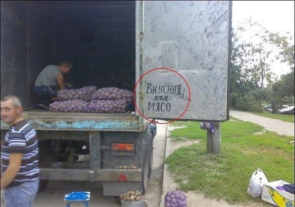 27. Если вы вегетарианец, но мяска очень хочется...