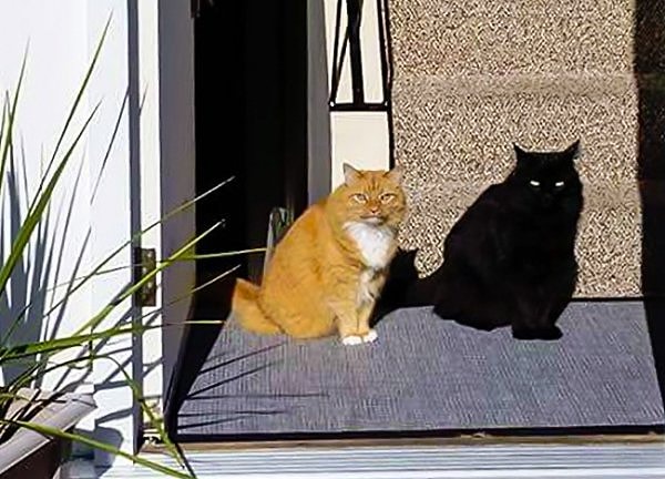 15. Помните: за вами наблюдают!