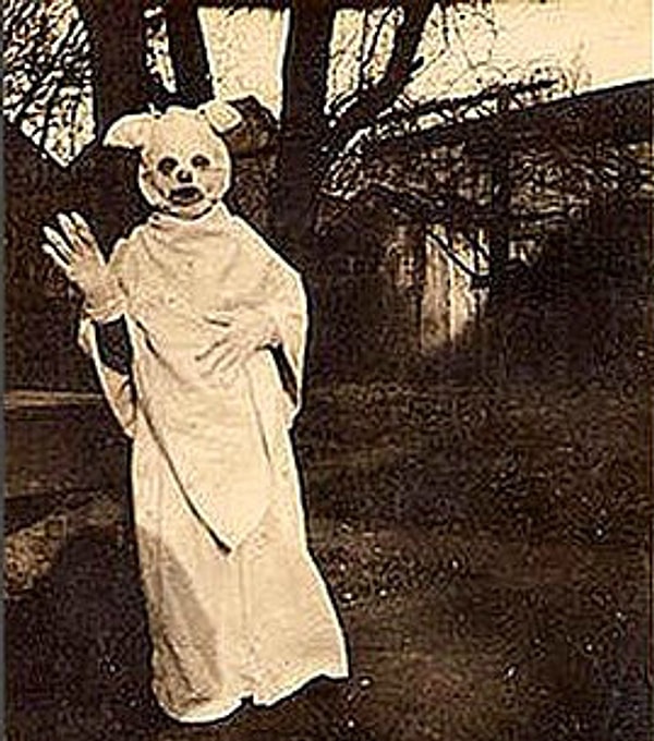 18. Вот такая устрашающая хрюшка