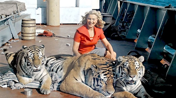 3. "Постой, паровоз, не стучите, колёса...".