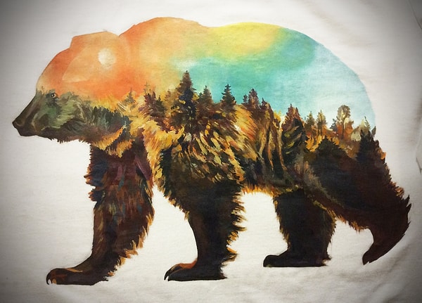 Водолей — Медведь