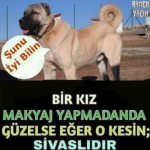 Ağırbaşlılığıyla Hayranlık Uyandıran, Güzelliğiyle Bakana Bir Daha Dönüp Baktıran Sivas Kızlarının 13 Şahane Özelliği