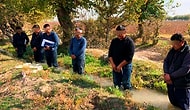 Özbekistan Başbakan Yardımcısı Çiftçileri Suda Bekletip Cezalandırdı: 'Siz Buğdayı Sulamazsanız, Ben Sizi Sularım'
