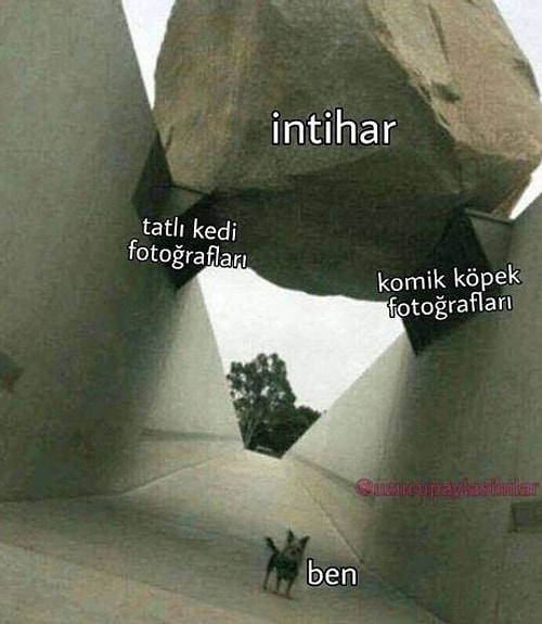 Görünce İnsanı Durduk Yere Depresif Bir Hale Büründürüp Aynı Zamanda da