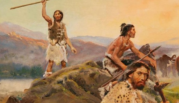 4. Чем бы вы хотели заниматься?