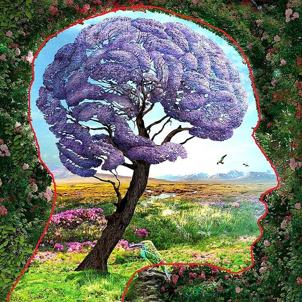 Вы создаете себя сами.