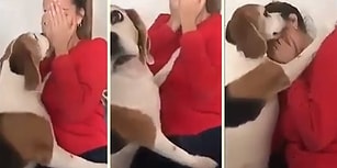 İnsan Dostunun Ağlamasına Dayanamayan Köpekten Teselli Sarılması