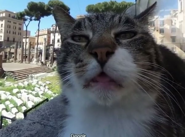 13. "Я всех вас ненавижу!"