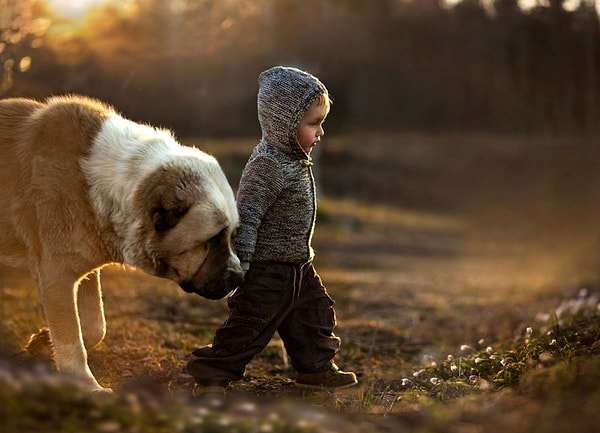 В жизни вам не хватает домашнего любимца!