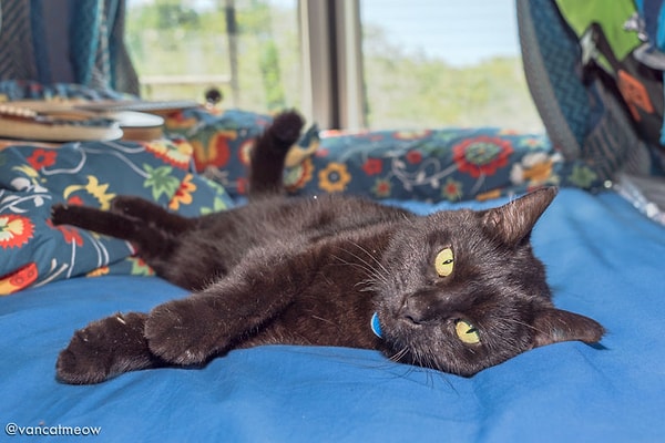 Фургон для путешествий давно стал нашим домом. Внутри есть кровать, кухня и даже телевизор.