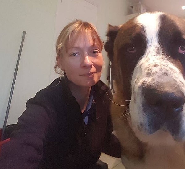 1. Винстон, московский сторожевой пес из приюта, которого привезли из Болгарии, где хозяева избивали его и издевались над ним, имел проблемы с сердцем и находился на лечении.