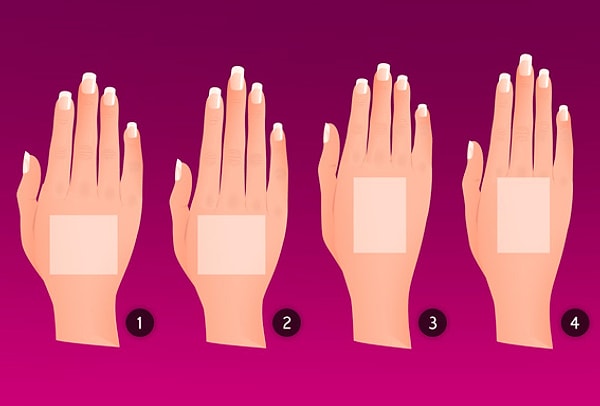 Итак, посмотрите на свою руку и сравните длину ладони с длиной пальцев: