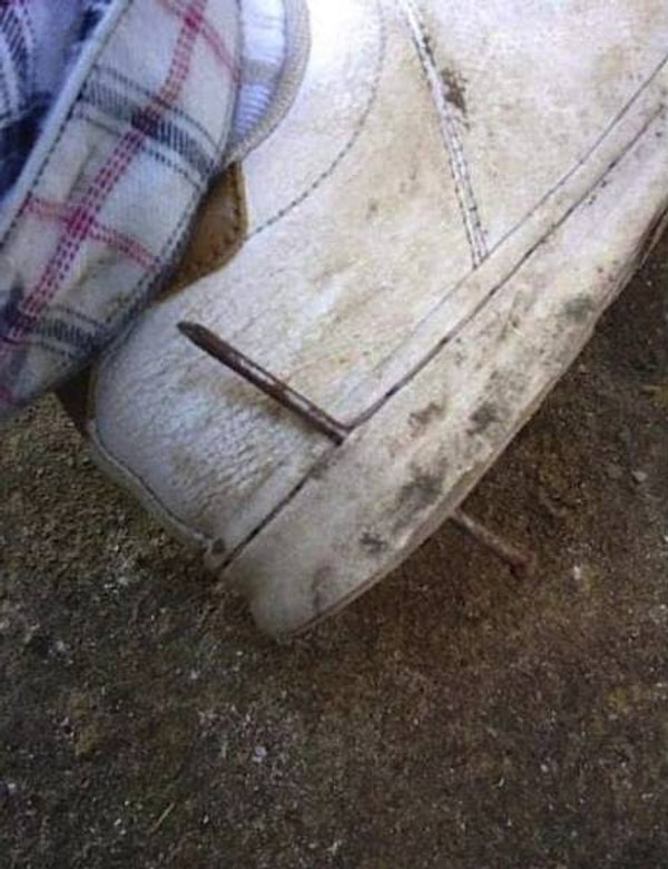 13. Поразительное везение