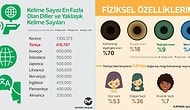 Hayatınızı Kurtaracak Olmasa da Hatırı Sayılır Bir Aydınlanma Yaşatacak 23 İnfografik