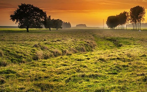 Италия начала поощрять желание семей завести третьего ребенка после того, как в прошлом году было зафиксировано в общей сложности 464 тысячи новорожденных.