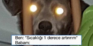 Geçtiğimiz Hafta Yaptıkları Paylaşımlarla Eğlencenin Dibine Vuran 17 Uluslararası Mizahşör