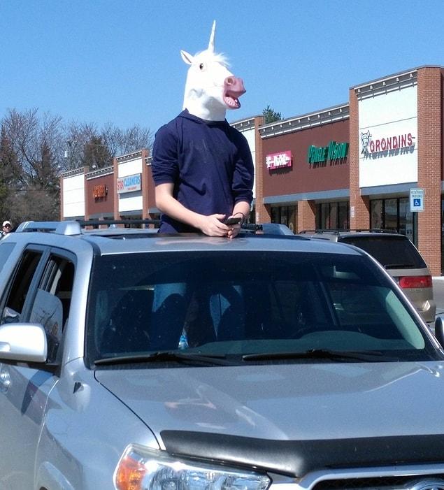 6. “I encountered this rare and exquisite parking lot unicorn today when going into my local arts and crafts store. I was unable to capture the magnificent gesture of its greeting, but it’s an encounter I will always remember.”