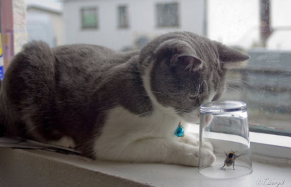 Вы человек, который боится потерь!