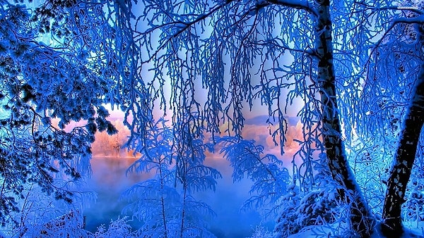 9. Такой цвет