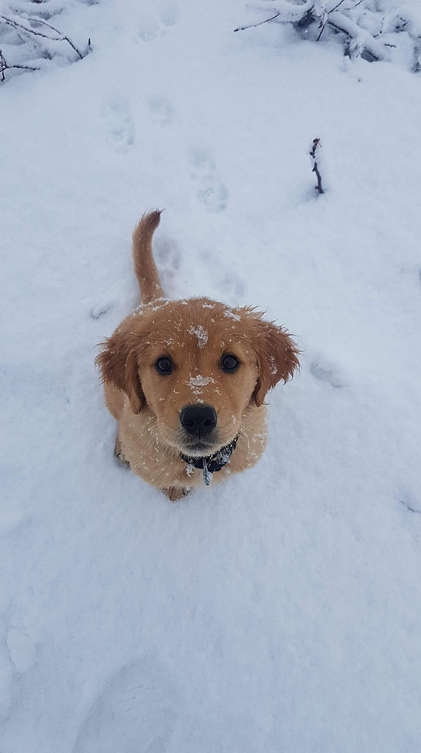 9. Обожаю зиму!