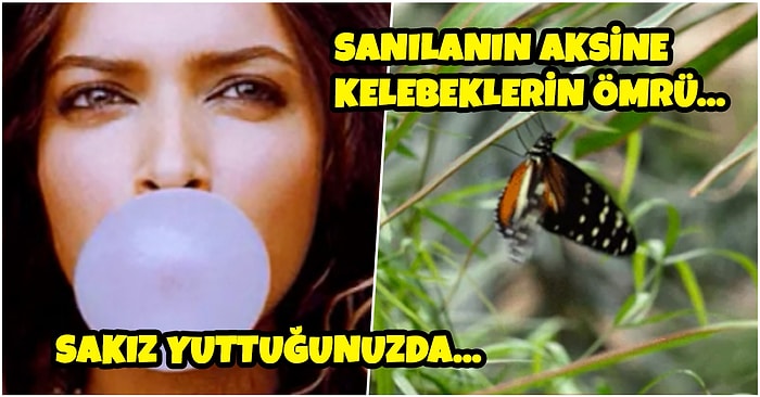 Her Duyduğunuza İnanmayın! Muhtemelen Bugüne Kadar Sizin de Yanlış Bildiğiniz 17 Gerçek