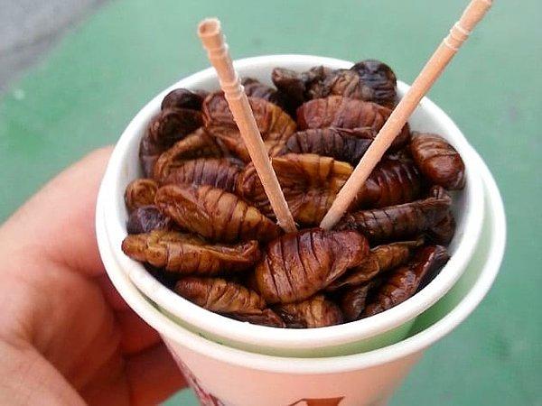 9. Kore: İpek böceği Pupası (Pupa, bazı böceklerde tırtılın kendi çevresine ördüğü koza içindeki devinimsiz, kelebeğe ya da böceğe dönüşme evresindeki durumuna denir.)