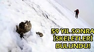 59 Yıl Önce Kaybolmuşlardı! Çığ Altında Kalan 3 Dağcının Cesetleri Askeri Birlikler Tarafından Bulundu