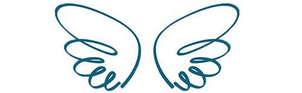 Вы выбрали крылья правды