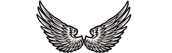 Вы выбрали крылья желания