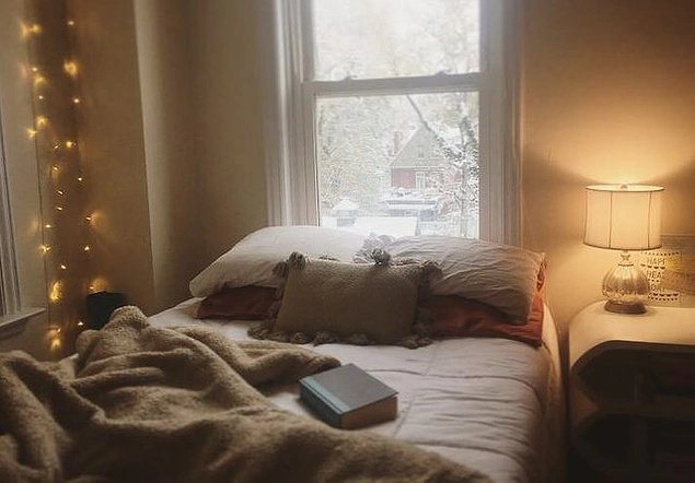 Sabah bir kalkıyorsunuz dışarıda kar yağmış. Manzaranız da bu şekilde. 😊