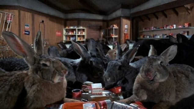 7. Giant monster rabbits