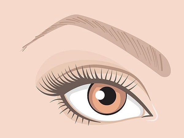 Глаза с приподнятыми уголками