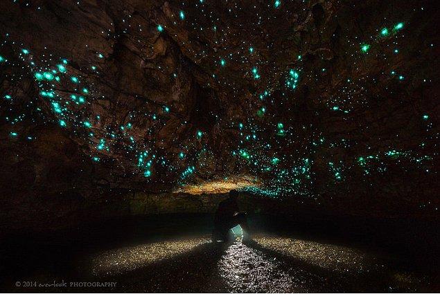 12. Yeni Zelanda'daki ateş böcekleri ile dolu The Waitomo Glowworm Mağarası: