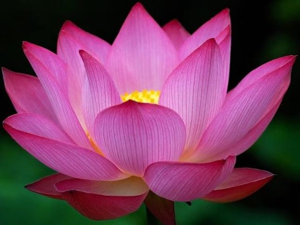 10. Выберите слово, которое описывает вас лучше всего: