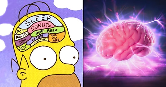 Тест: Какое количество бесполезных знаний хранится в вашей голове?