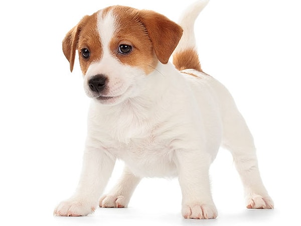 Посмотреть ответ: