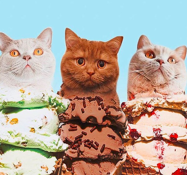 1. Таким мороженым хочется полакомиться в любую погоду!