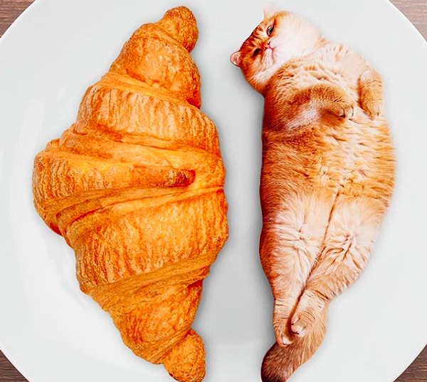 4. Красивая поза - залог успешной фотки!