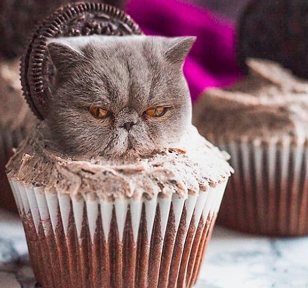 14. И на кого же ты обиделся?